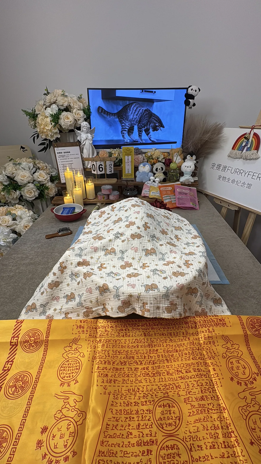 蚌埠宠物告别仪式中的鲜花与纪念照片
